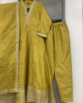 Anarkali - 11654 YM Y